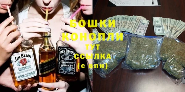 винт Алзамай