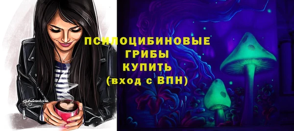 винт Алзамай